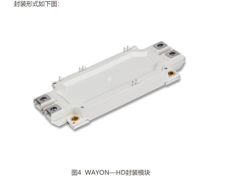 Wayon  IGBT,維安IGBT,新能源汽車IGBT，維安代理商，Wayon代理商