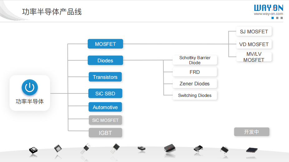WAYON代理商，維安MOS管，維安SBD，肖特基二三極管，維安LDO線性穩(wěn)壓，PTC，保險(xiǎn)絲，ESD ，IGBT ，OVP， TVS代理商.png